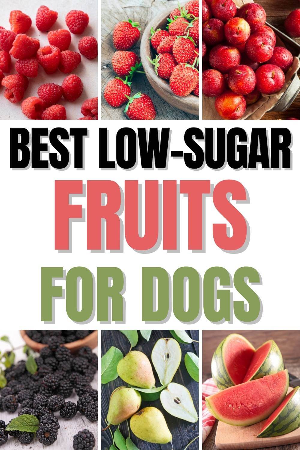 Photo inspiration: Picture Idea: 17 Safe Low Sugar Fruits For Dogs