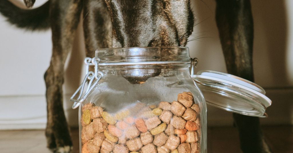 dog eating kibble in a jar