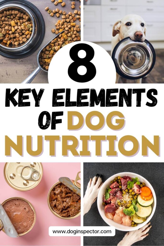 collage of four images showing kibbles, a dog with a water bowl, wet dog food, and a dog vegetable bowl with meat and text saying key elements of dog nutrition