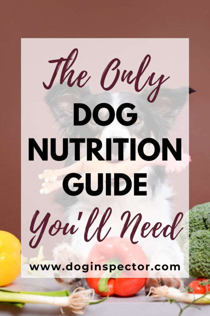 image of a dog holding a bone in mouth and food on the table and text saying the only dog nutrition guide you’ll need