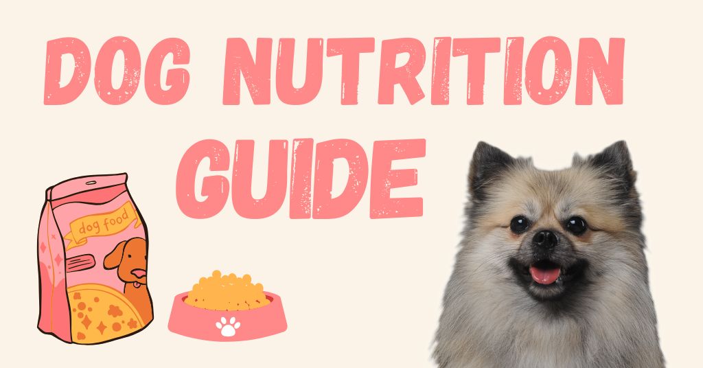 dog nutrition guide
