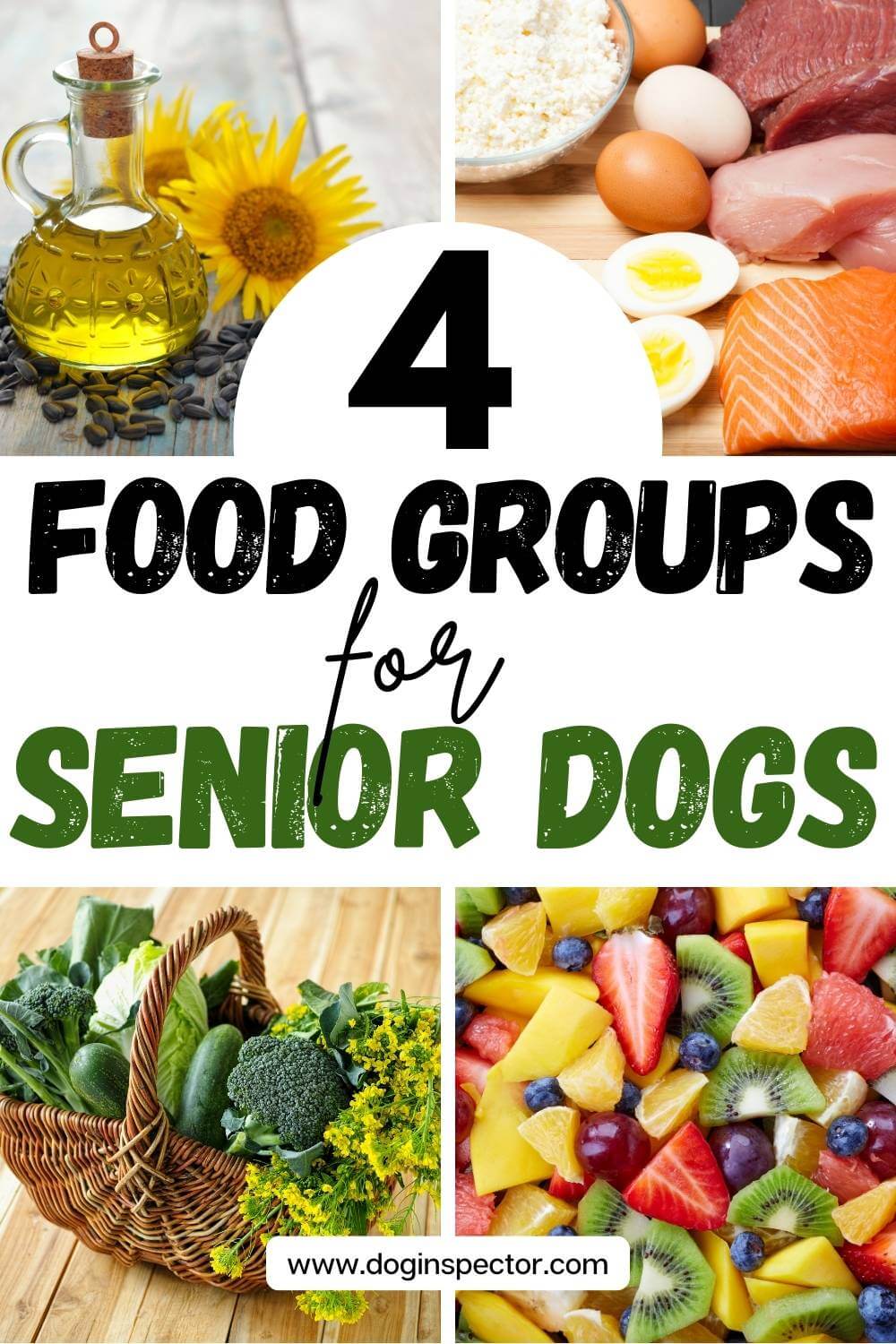 4 Main Nutritional Needs of Senior Dogs