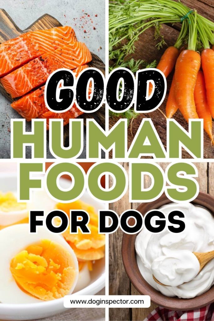 collage of four images showing salmon, carrots, boiled eggs, and Greek yogurt and text saying good human foods for dogs