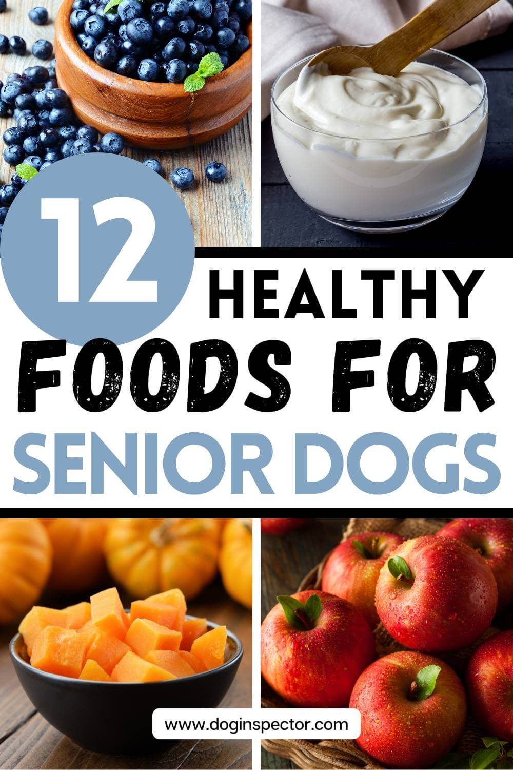 12-amazing-healthy-foods-for-senior-dogs-you-have-at-home