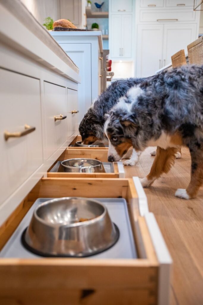 hidden dog feeding station ideas