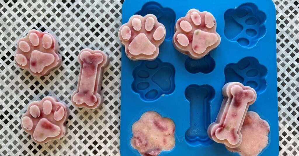 homemade strawberry dog ice cream