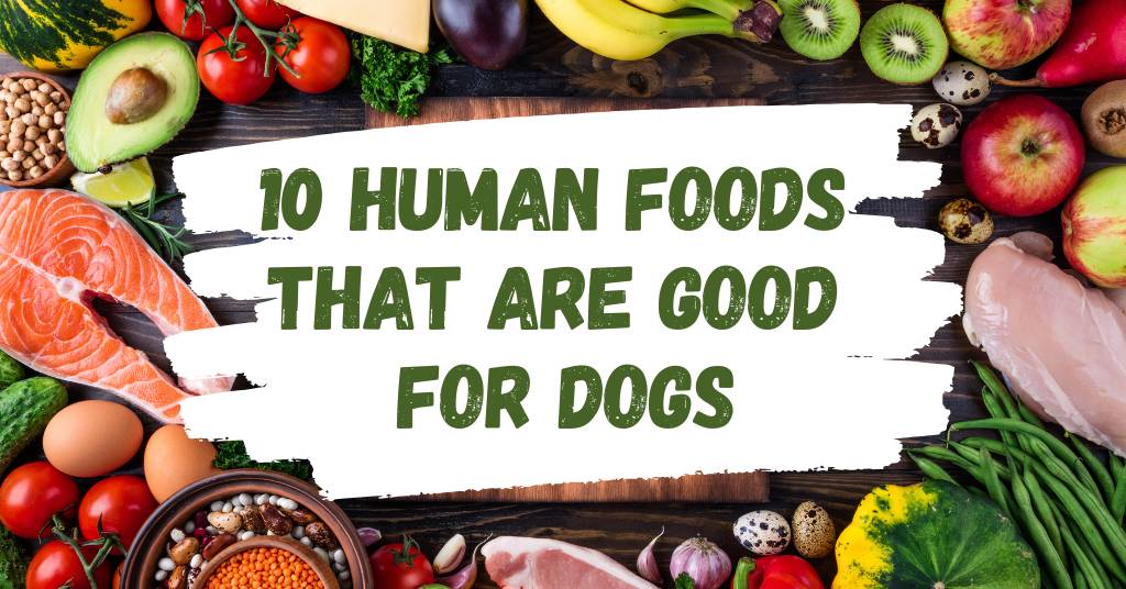 human foods that are good for dogs