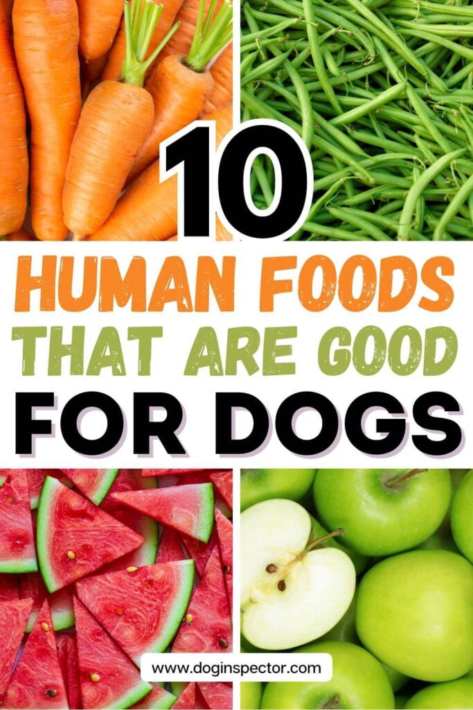 collage of four images showing carrots, green beans, watermelon, and apples and text saying ten human foods that are good for dogs
