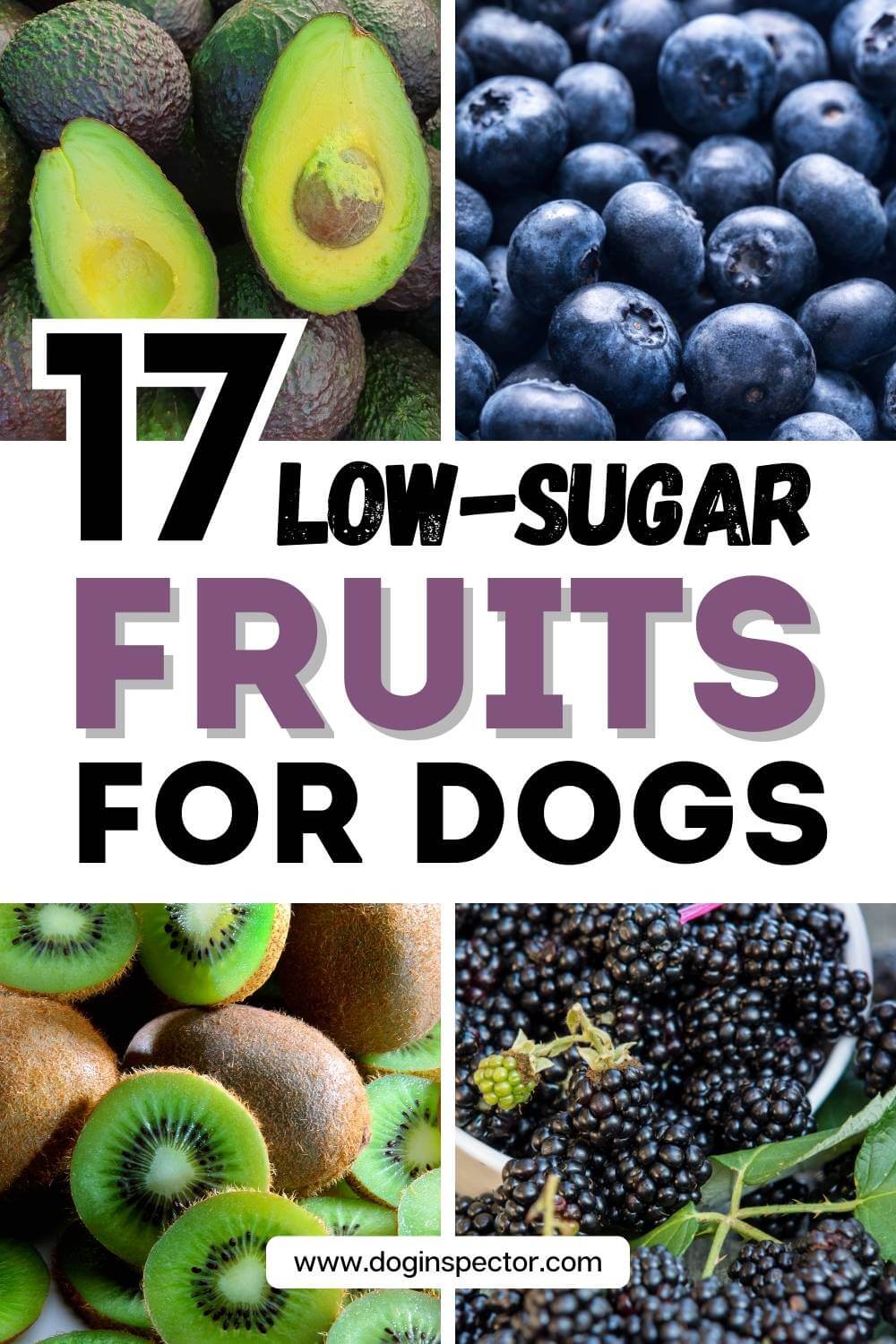 17 Safe Low-Sugar Fruits for Dogs - Apples With High Sugar Content Dog Safe
