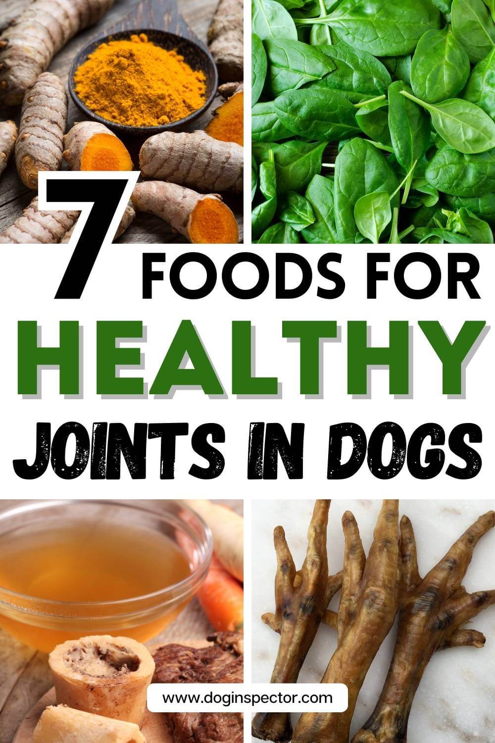 Curated visual reference: Managing Canine Joints With Food Reference: 7 Foods For Healthy Joints In Dogs