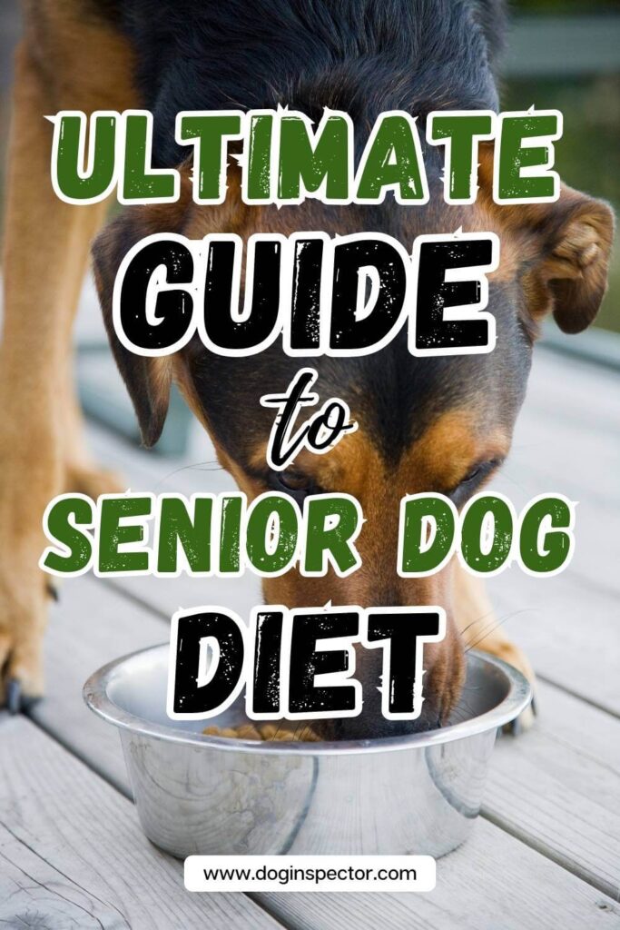senior dog eating kibble from a bowl and text saying ultimate guide to senior dog diet