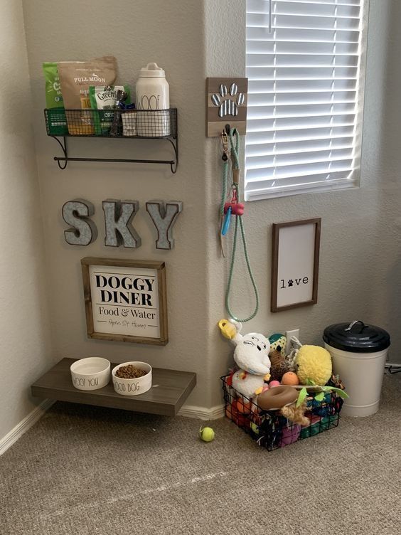wall-mounted dog food dispenser